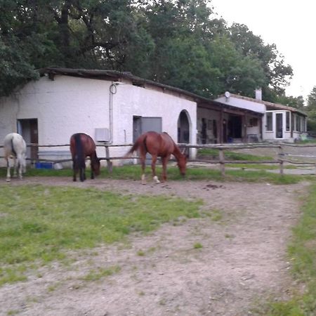 Ferme Equestre Des Abrons Villa Pailloles Exterior foto