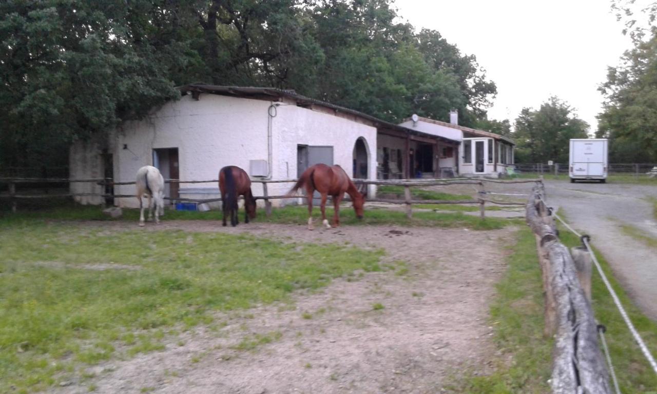 Ferme Equestre Des Abrons Villa Pailloles Exterior foto