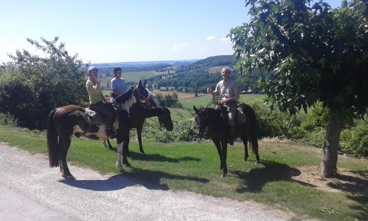 Ferme Equestre Des Abrons Villa Pailloles Exterior foto