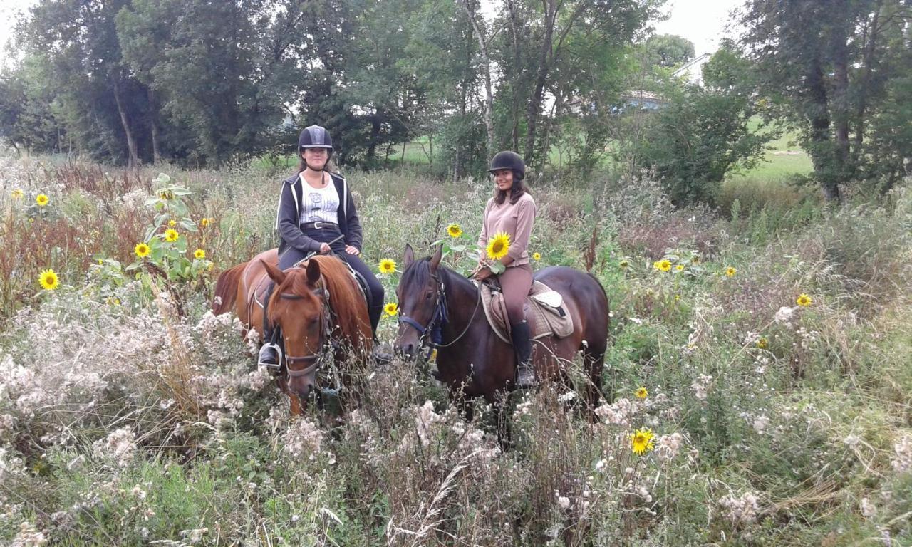Ferme Equestre Des Abrons Villa Pailloles Exterior foto