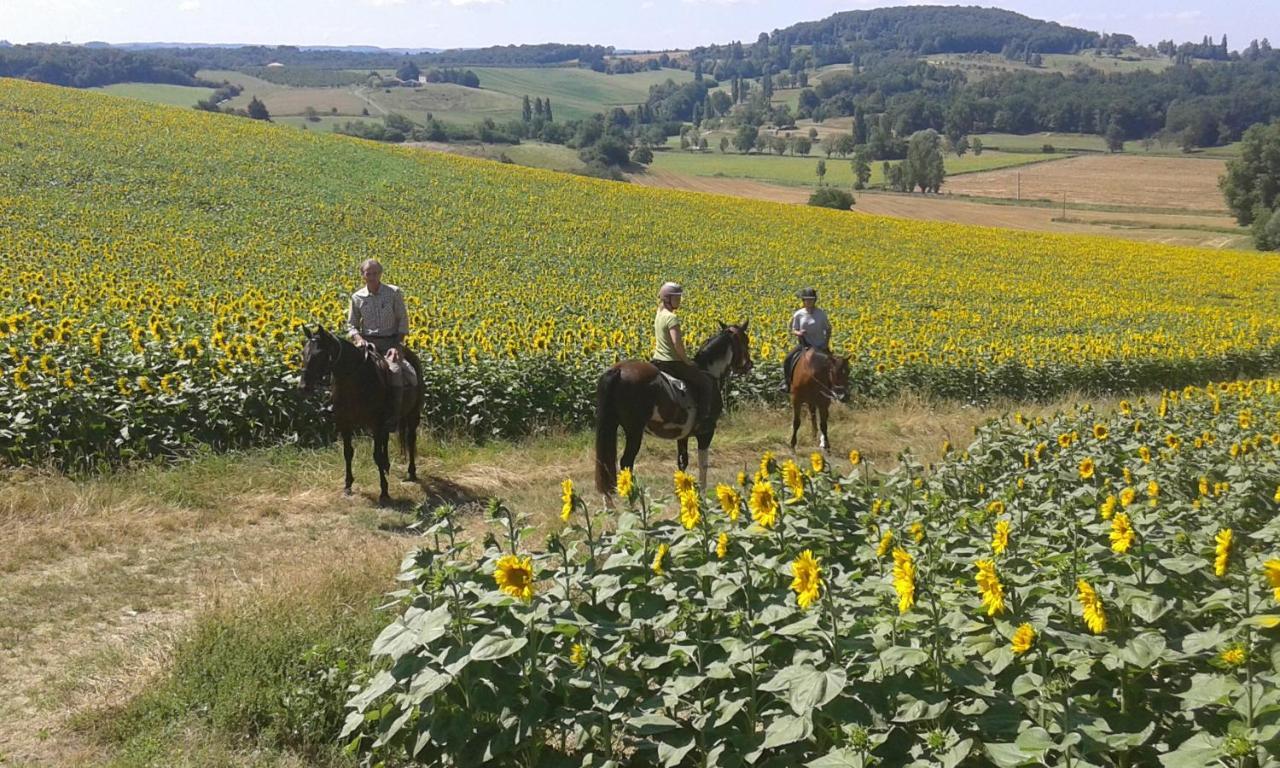 Ferme Equestre Des Abrons Villa Pailloles Exterior foto